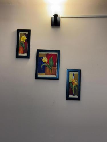 shivashray pg and homestay