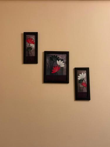 shivashray pg and homestay