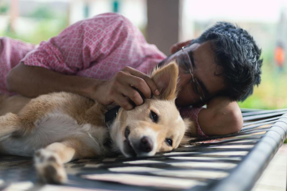 aranyavas nature retreat