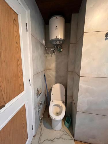 the venus live like a local