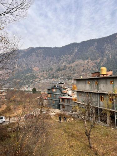 the venus live like a local