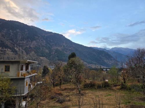 the venus live like a local