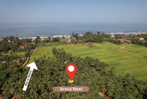 Areca Nest,,5 star
