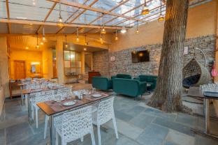 vivaan stays tirthan