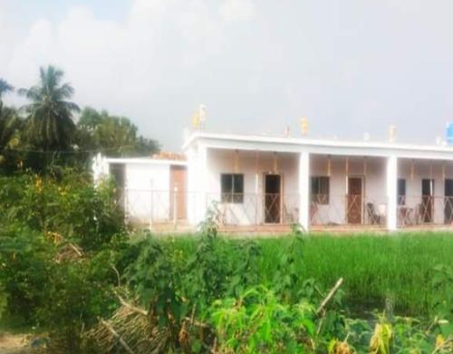 the udaipur diary by stayapart