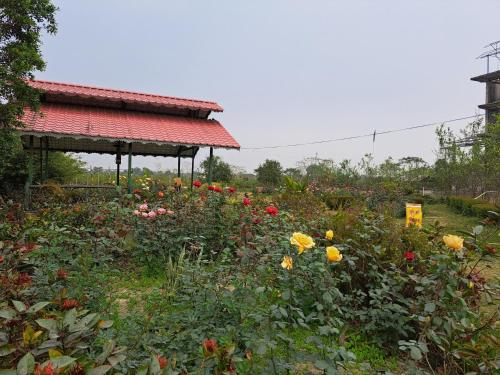 banolata lakeside homestay by stayapart