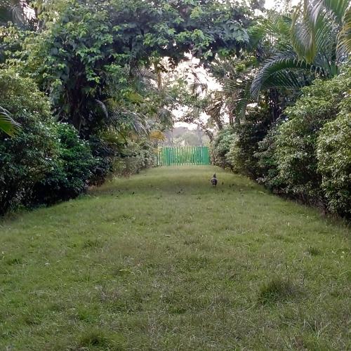 banolata lakeside homestay by stayapart