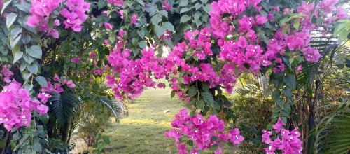 banolata lakeside homestay by stayapart