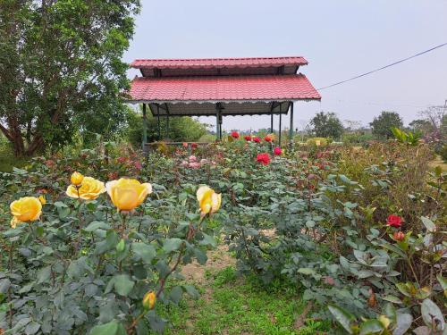 banolata lakeside homestay by stayapart