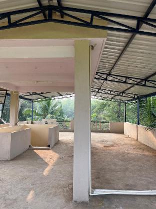 crocodile front villa