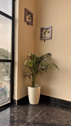 dehradun
