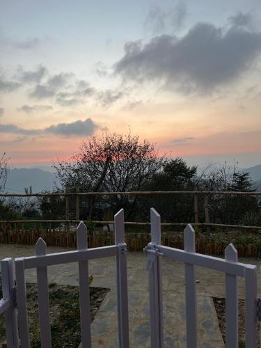 jijivisha resort shimla