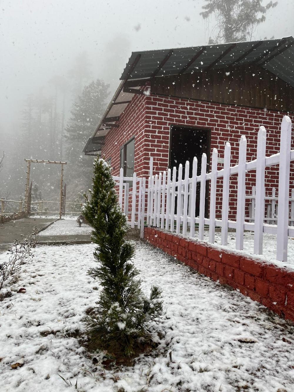 jijivisha resort shimla