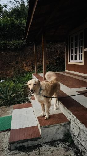 coorg hill view stay