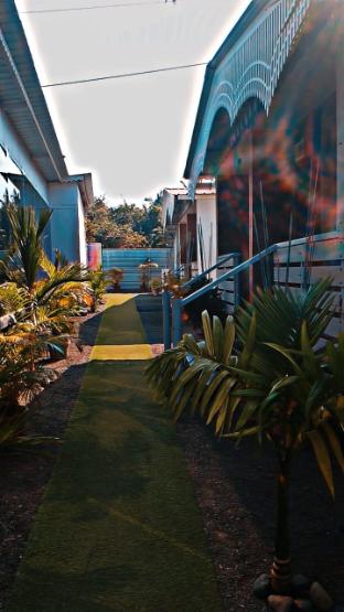 omiguel clifftop cottages