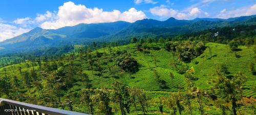 hillway boutique resort