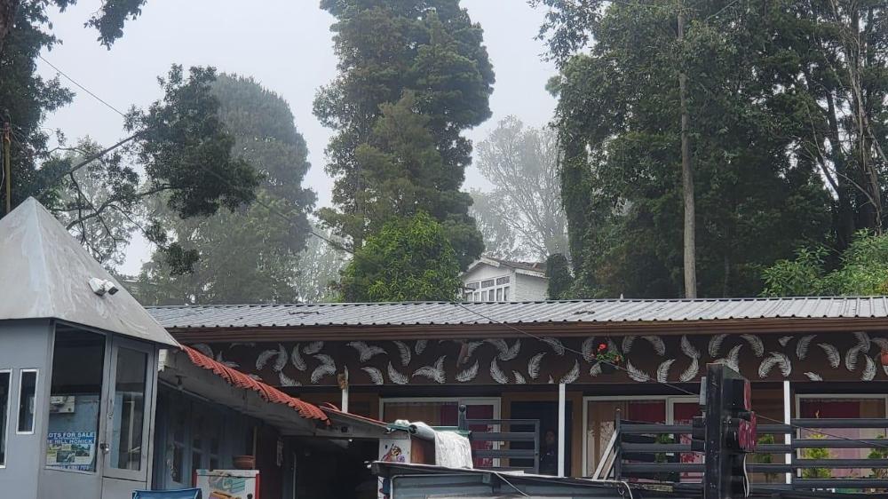 mango resorts by the lake