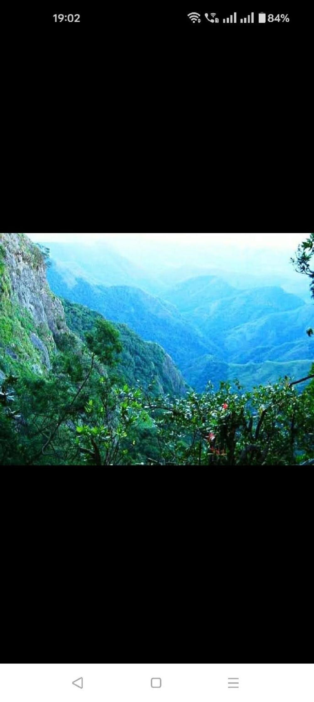 mango resorts by the lake