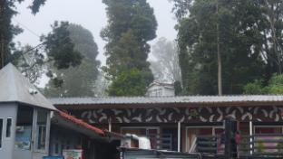 mango resorts by the lake