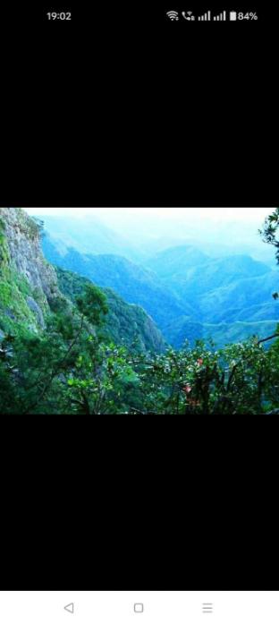 mango resorts by the lake