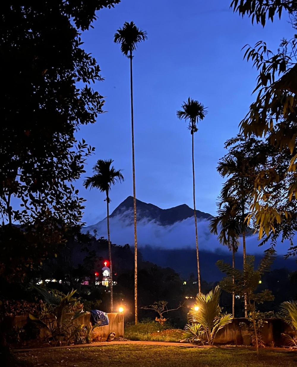 hill view heights wayanad