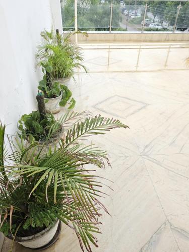 hotel ashiyana elite