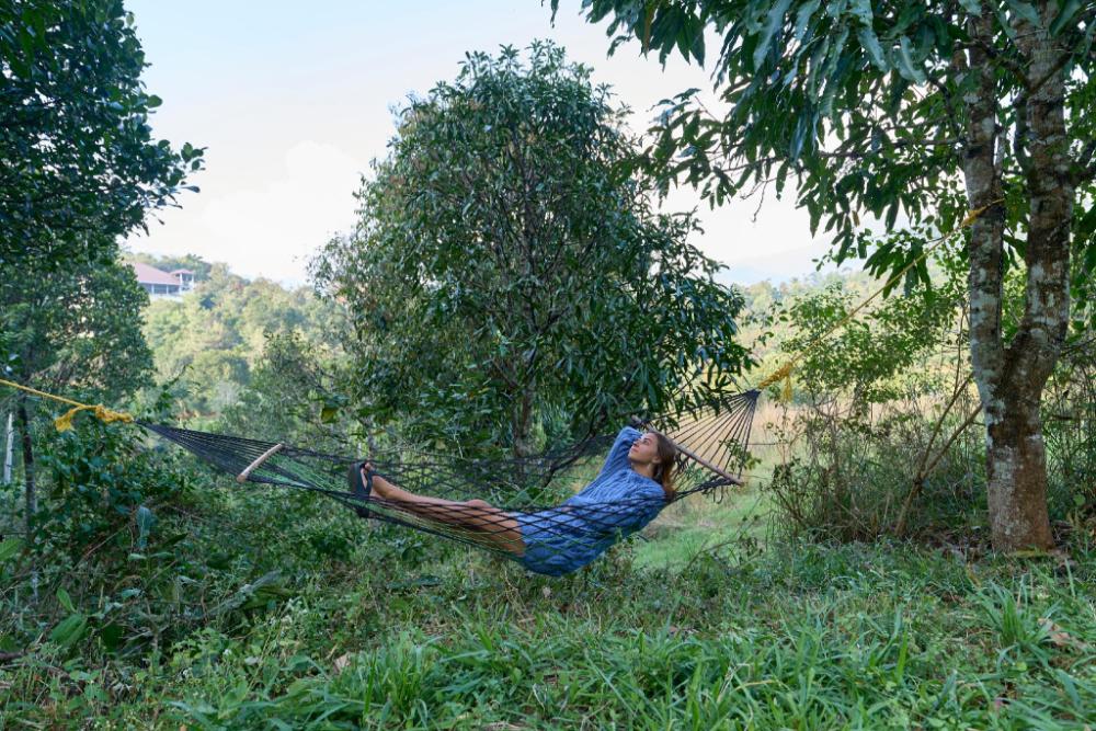 velvet revive munnar