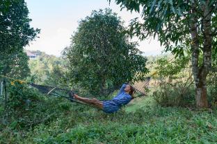 velvet revive munnar