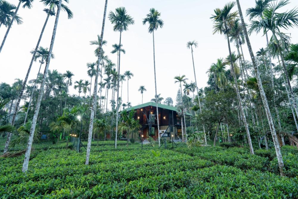 nithara farm stay