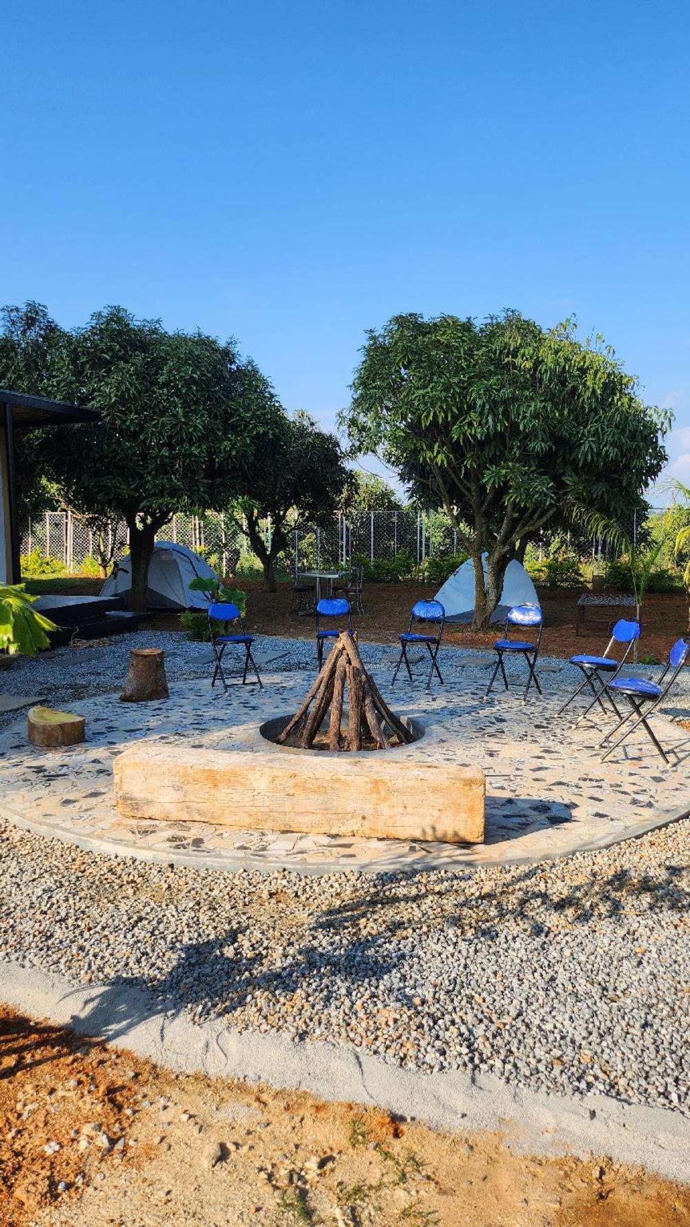 gable grove serene retreatcamping by homeyhuts