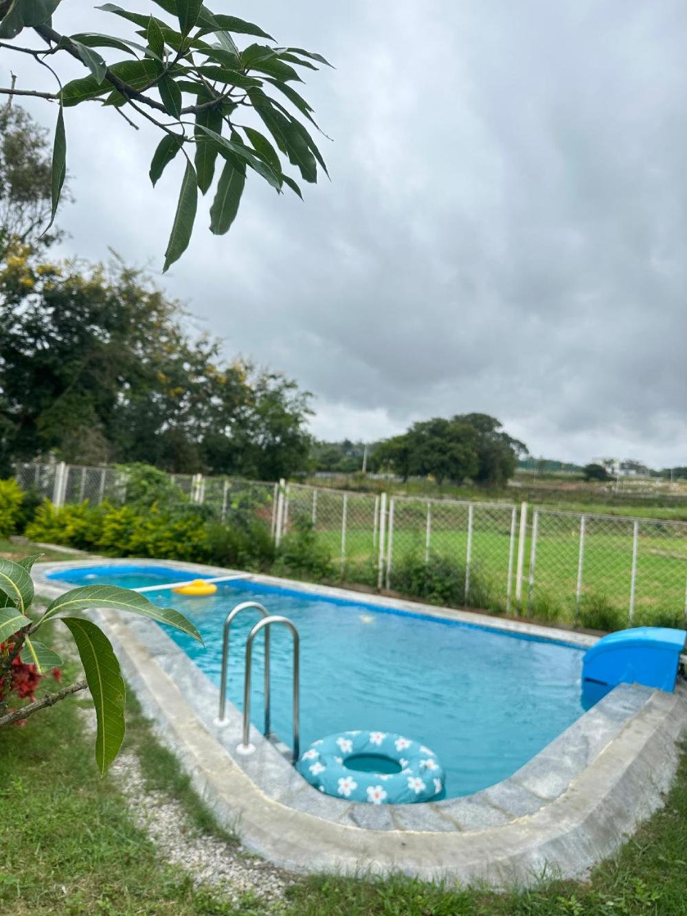 gable grove serene retreatcamping by homeyhuts