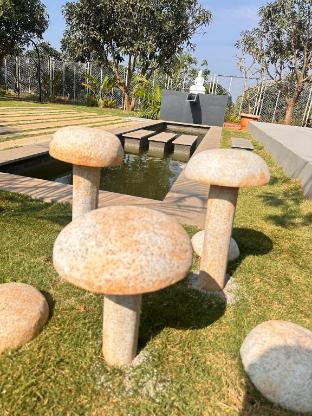 gable grove serene retreatcamping by homeyhuts