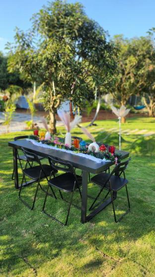 gable grove serene retreatcamping by homeyhuts