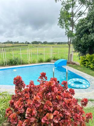 gable grove serene retreatcamping by homeyhuts
