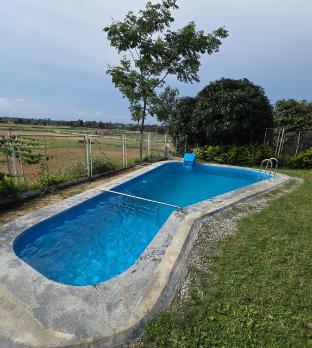 gable grove serene retreatcamping by homeyhuts