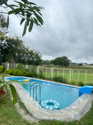 gable grove serene retreatcamping by homeyhuts