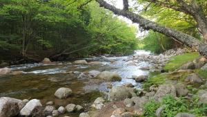 franconia notch motel
