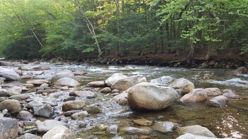 franconia notch motel