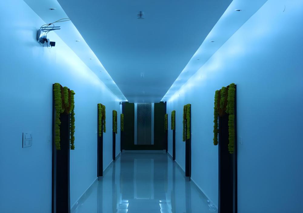 lalitha karunya residency a c