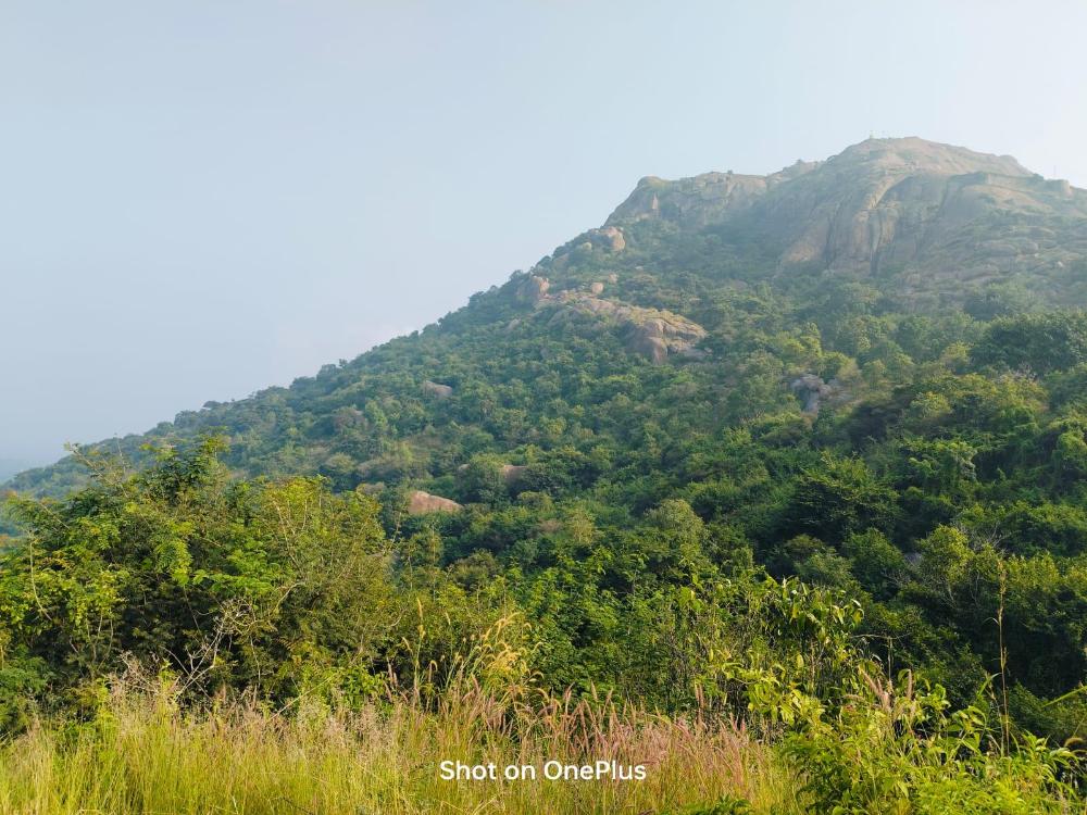 yatri nivas huthridurga