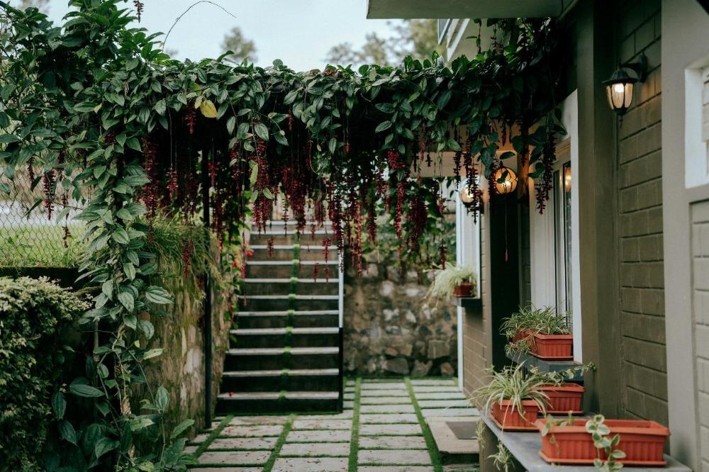 luxury rooms the umber tea family cottage