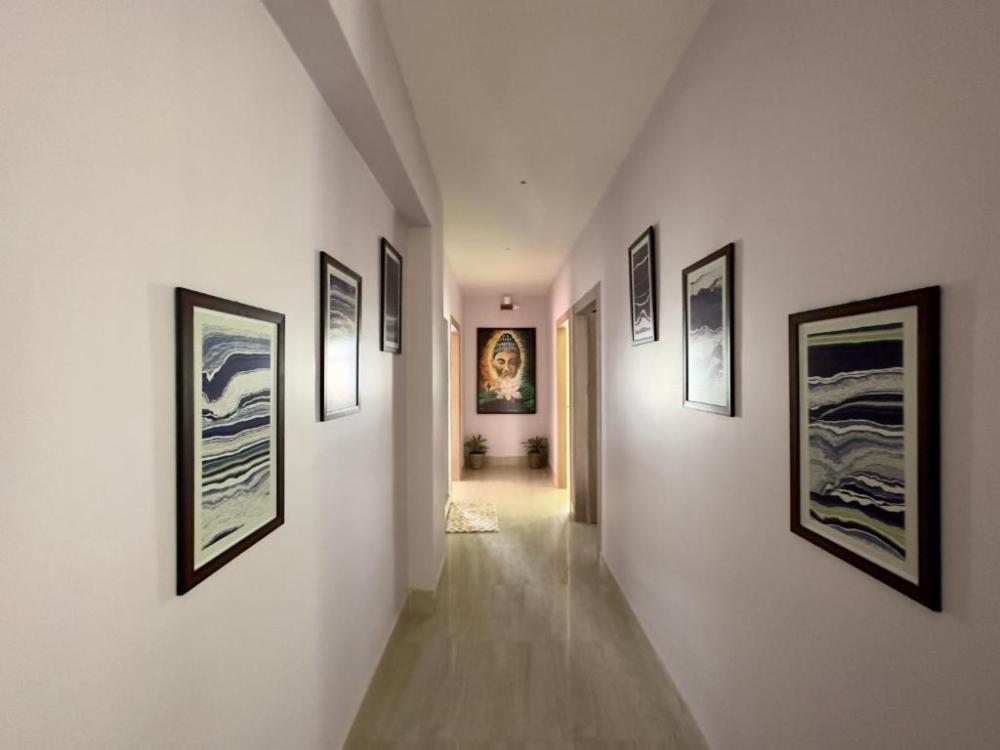 three little birds homestay