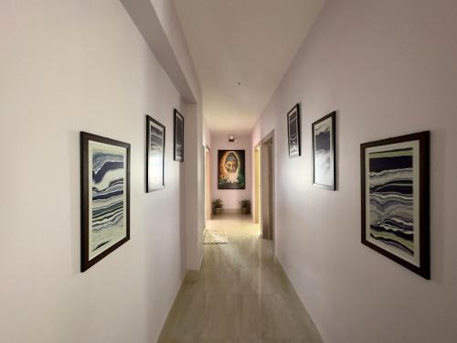 three little birds homestay