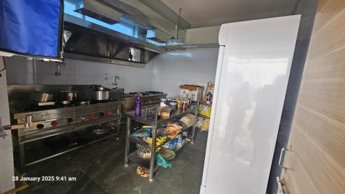 magic alpha residency