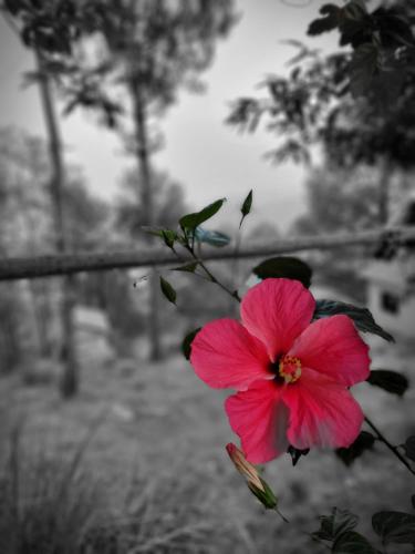 11 gaon mudhouse homestay