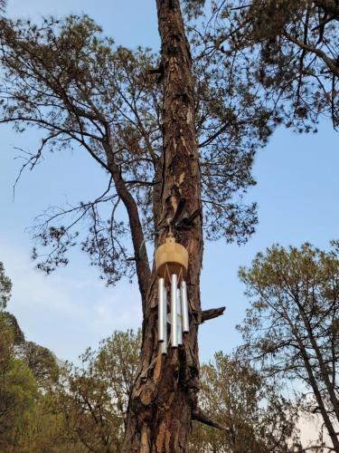 11 gaon mudhouse homestay