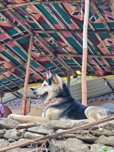 11 gaon mudhouse homestay