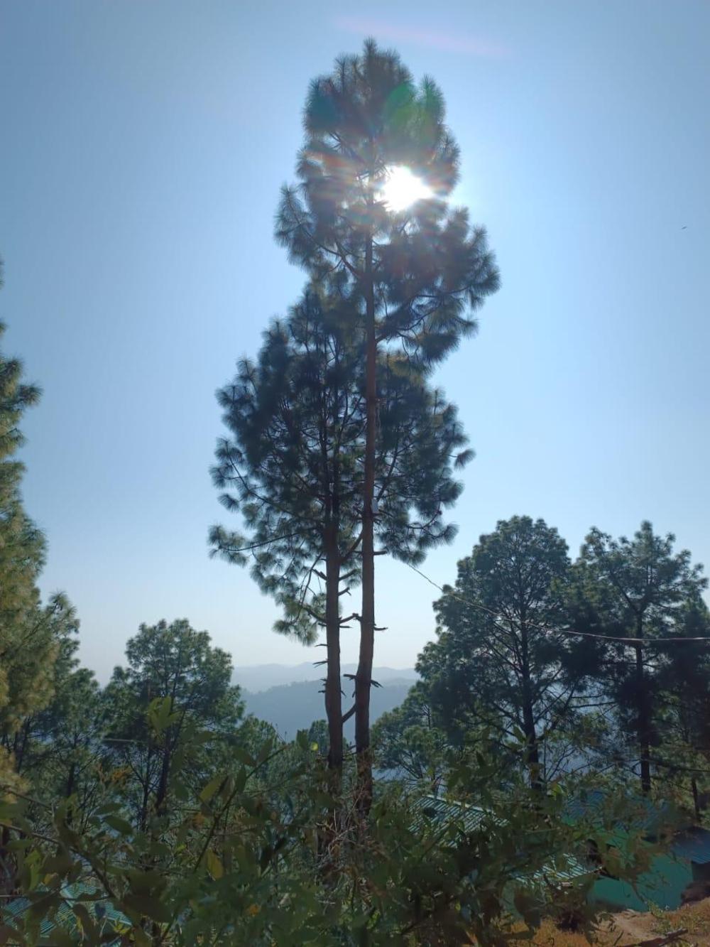 11 gaon mudhouse homestay