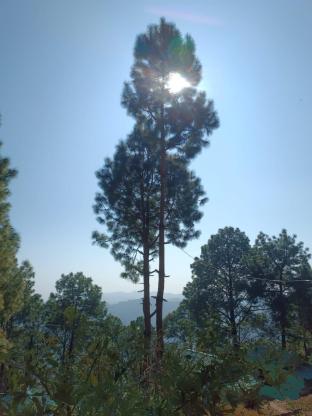 11 gaon mudhouse homestay