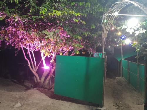 anmols camps and huts by stayapart